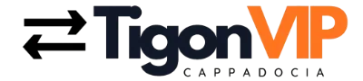 TigonVIP logo