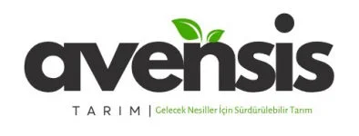 avensis logo