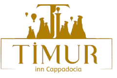 Timur inn Hotel logo